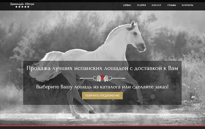 Розробка лендінгу проекту продажу іспанських коней